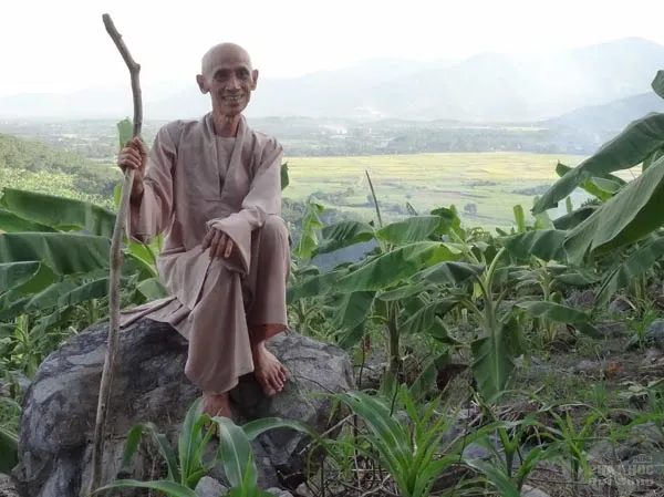 Tuệ Sỹ Tiễn một người đi image-1732293275433