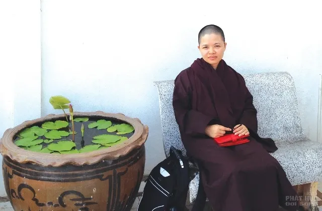 Tôi xuất gia gieo duyên (hay: Về vai trò của giới tinh hoa và về sự cống hiến cho xã hội) image-1731930800219