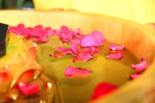 Trọng thể đại lễ Phật đản Tp. Biên Hòa 2016 20 Trọng thể đại lễ Phật đản Tp. Biên Hòa 2016 image-1731746962868