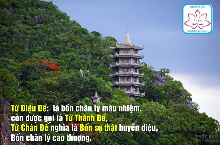 Tứ diệu đế giáo lý căn bản của đạo Phật image-1731941274459