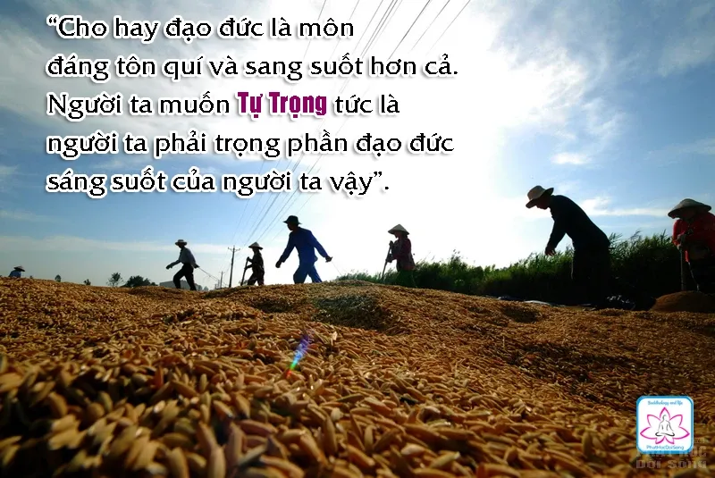 Tự trọng - tạp chí Từ bi âm image-1731943976997