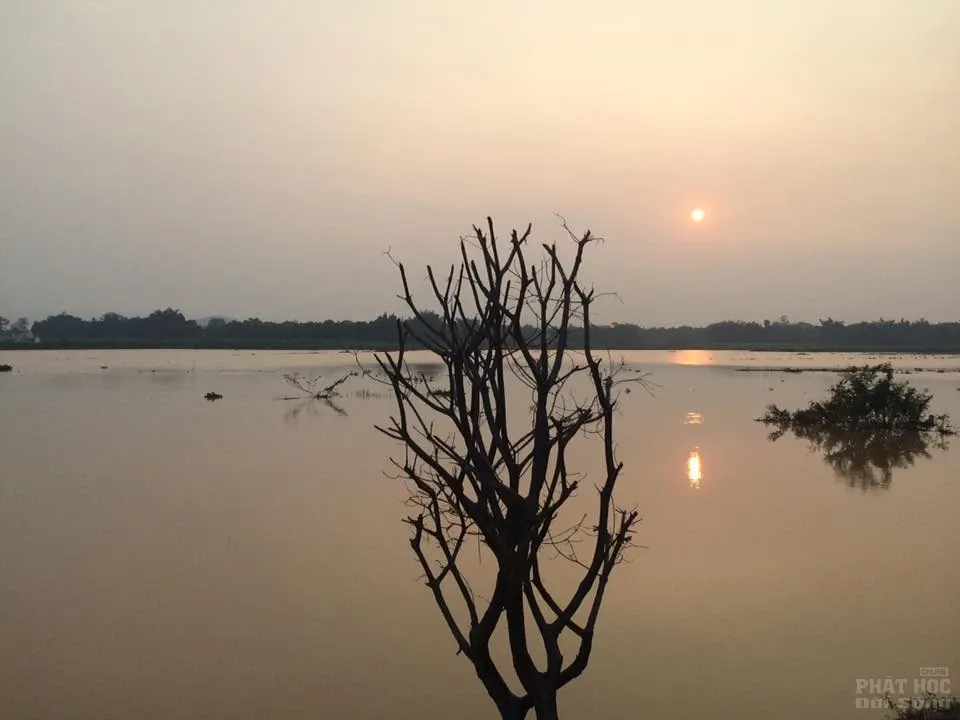 Về Hưng Nguyên thăm chùa Long Hoa image-1731920136925