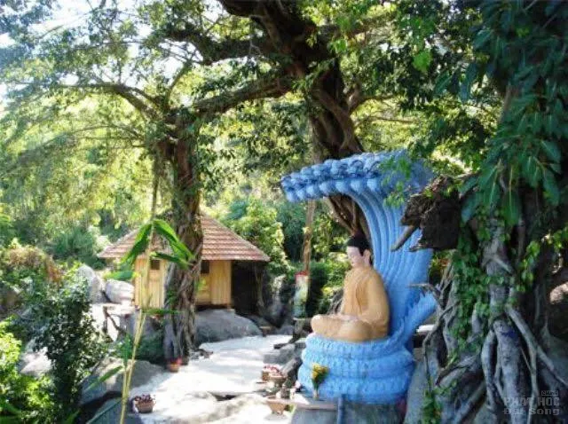 Về Tịnh xá Ngọc Vạn - Khánh Hoà tham dự khoá tu thực tập chánh niệm 7 Về Tịnh xá Ngọc Vạn - Khánh Hoà tham dự khoá tu thực tập chánh niệm image-1731941285834