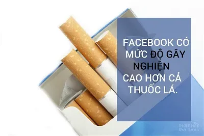 Việc sử dụng facebook của Tăng Ni hiện nay image-1731935812438