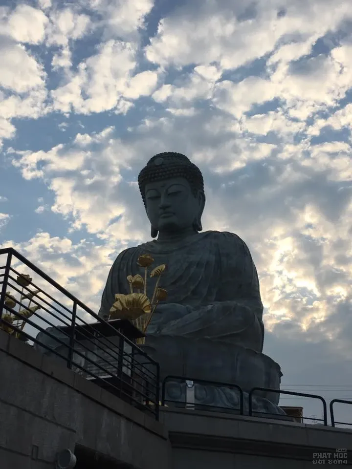 Viếng tượng Phật lớn vùng Hyogo image-1732288683348