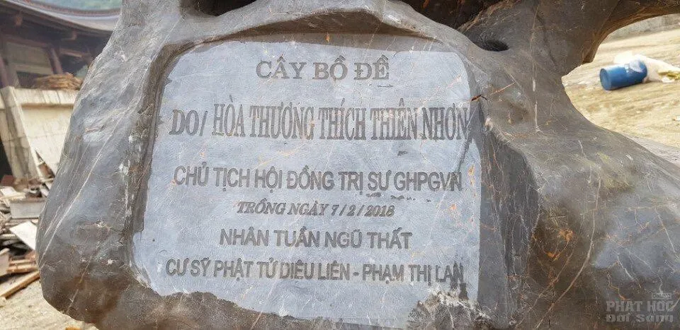 Việt Nam đăng cai tổ chức Đại lễ Vesak Liên Hiệp Quốc 2019 image-1732292278544