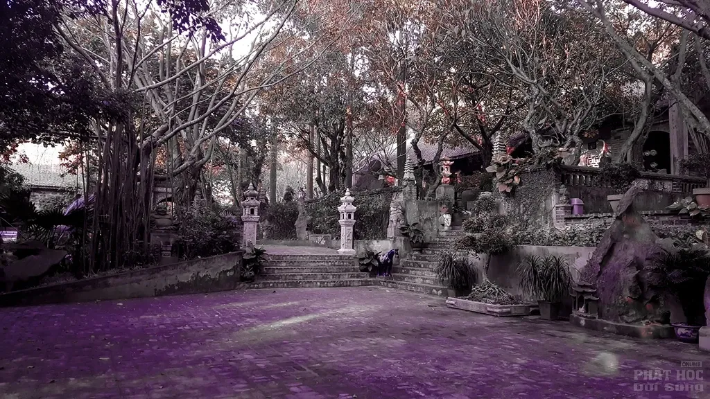 Việt Phủ Thành Chương nét đẹp cổ kính image-1731934724636