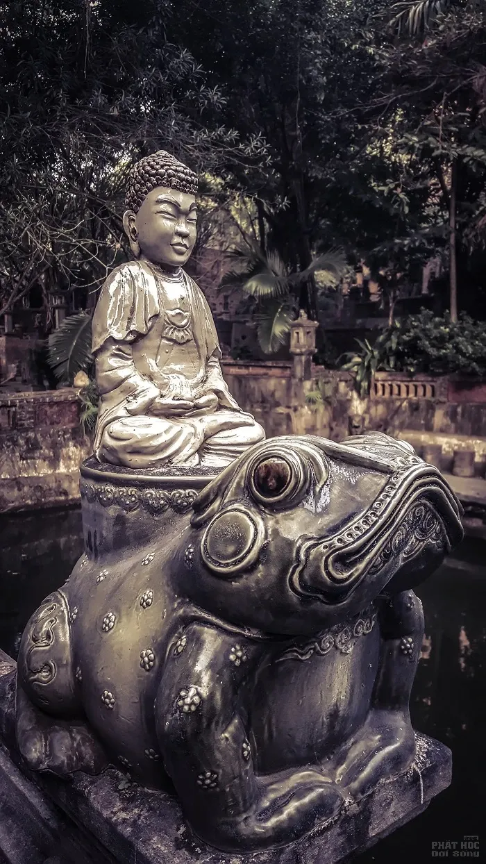 Việt Phủ Thành Chương nét đẹp cổ kính image-1731934761476