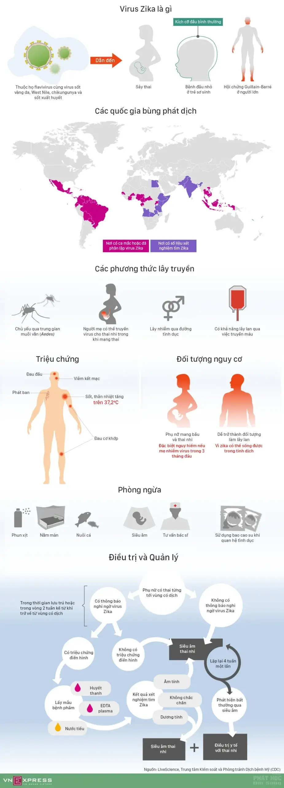 virut zika Virus Zika tràn vào Việt Nam như thế nào image-1731922061770
