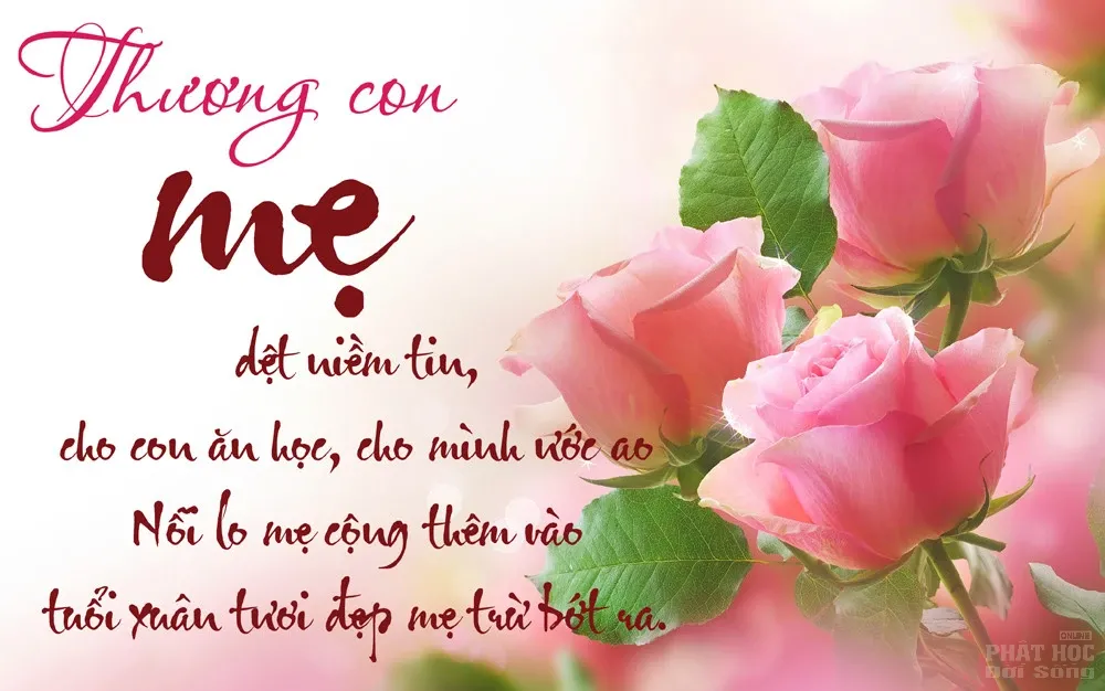 Vu lan mùa hiếu image-1731944043100