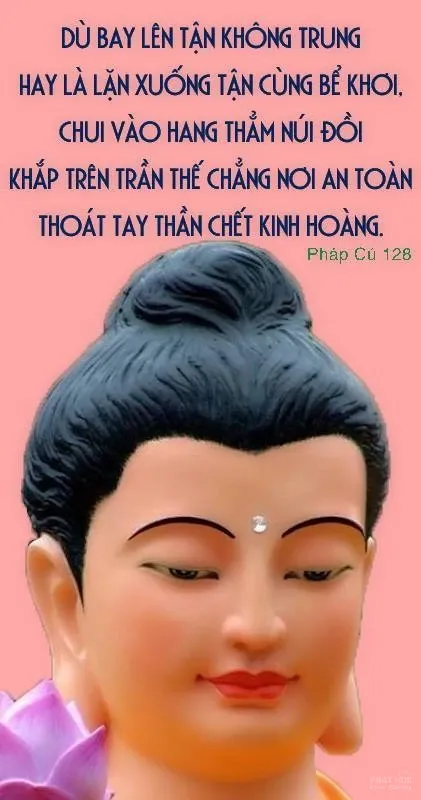Vua Thiện Giác hận thù Đức Phật Gautama image-1731937079191