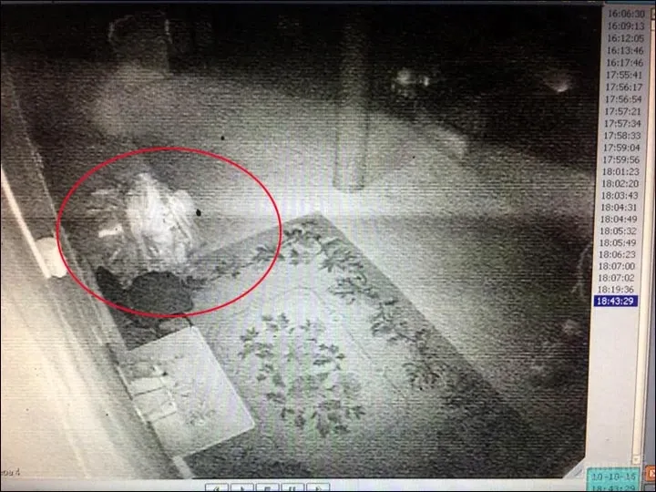 Xác ướp 164 tuổi tỉnh giấc, đi lại trong tu viện ở Nga? 3 Xác ướp 164 tuổi tỉnh giấc, đi lại trong tu viện ở Nga? image-1731921455012