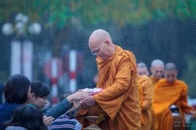 Xin ăn mà không ăn xin image-1731941414723