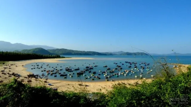 Xứ sở Phú Yên trong 'Tôi thấy hoa vàng trên cỏ xanh' image-1731726110095