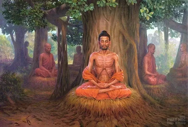 Ý nghĩa 7 bước chân và câu nói của Đức Phật khi mới chào đời image-1732293232872