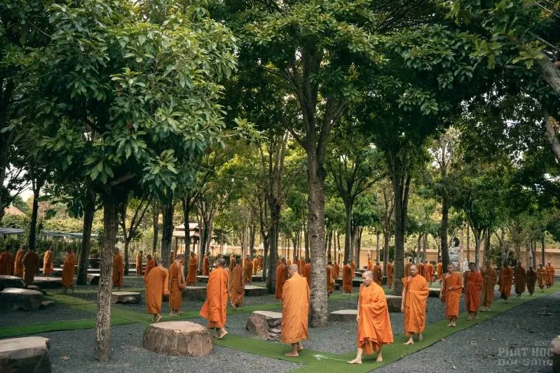 CHU HANH GIA 11