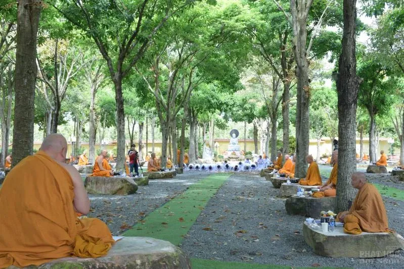 ĐỘ NGỌ