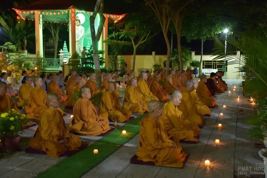 5. HOA DANG PHAT THANH DAO 12