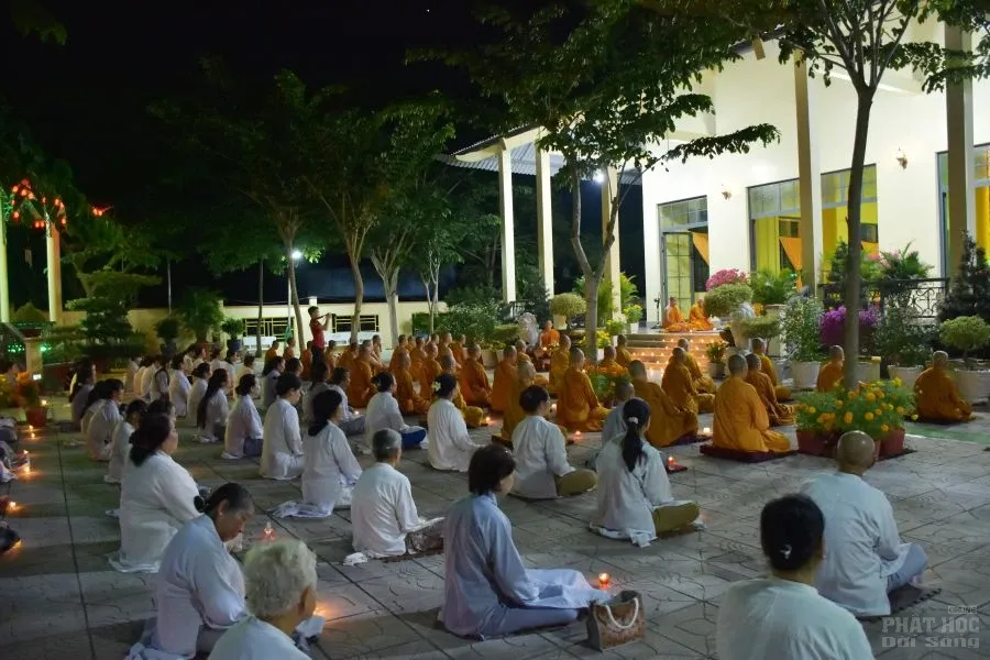 5. HOA DANG PHAT THANH DAO 16