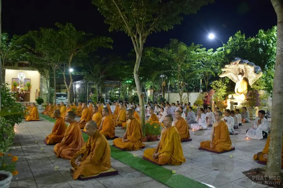 5. HOA DANG PHAT THANH DAO 3