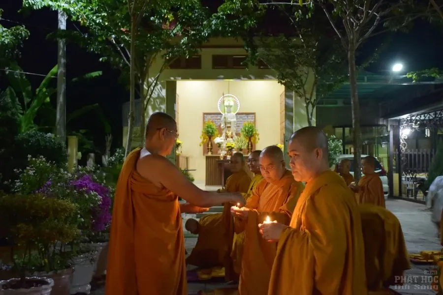 5. HOA DANG PHAT THANH DAO 7