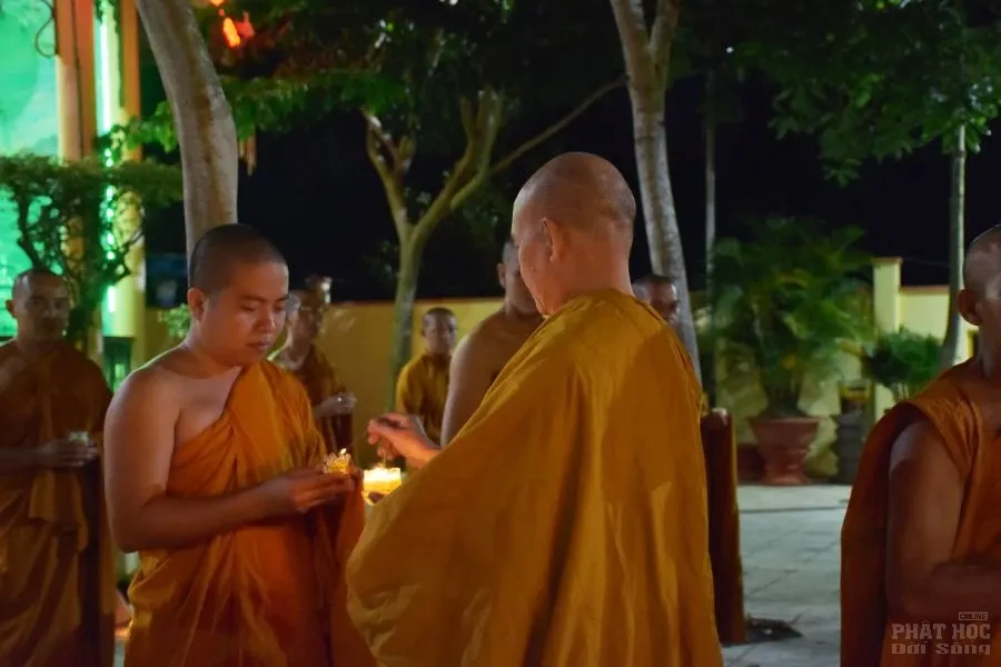 5. HOA DANG PHAT THANH DAO 8