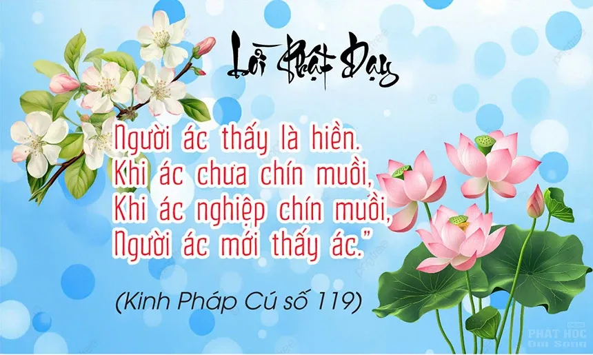 loi phat day hay 3
