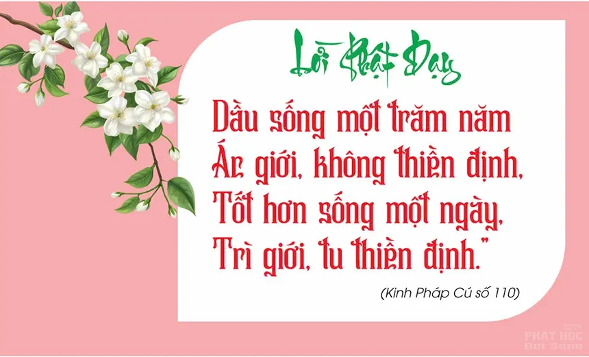 loi phat day hay 5