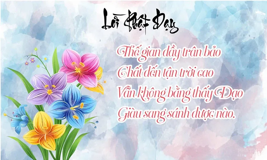 loi phat day hay 9