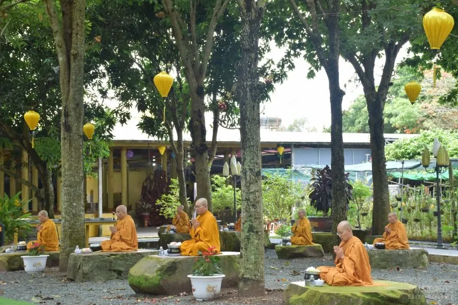 3. DO NGO 8