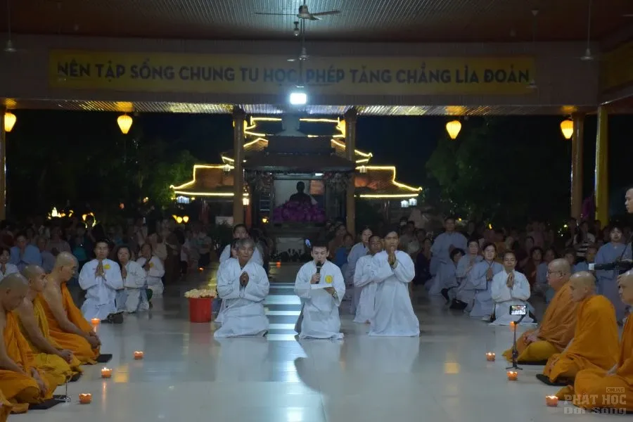 4. HOA DANG 3