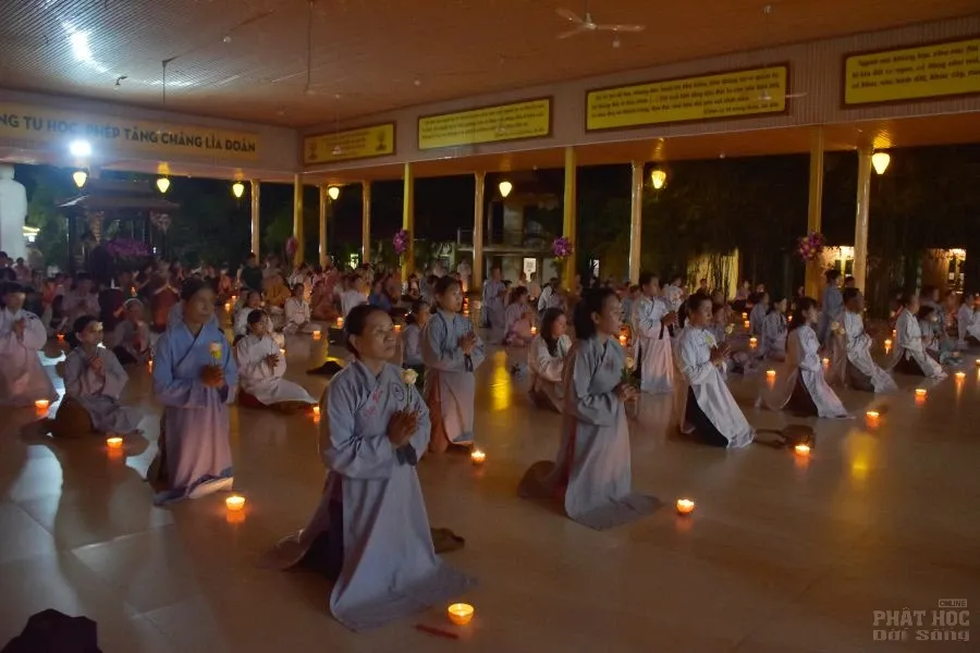 4. HOA DANG 4