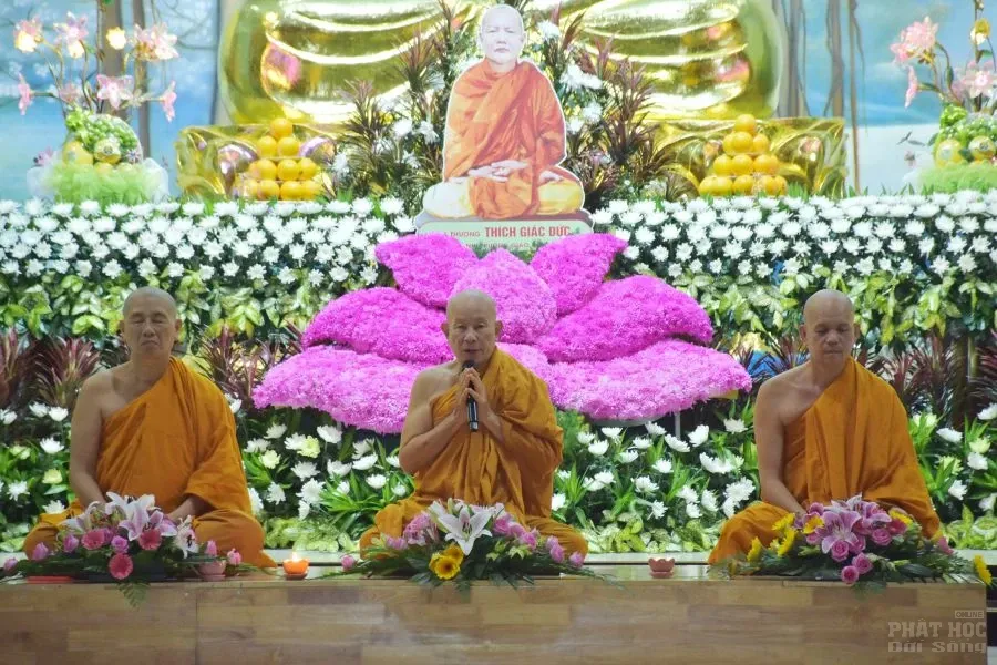 4. HOA DANG 8